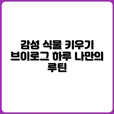 감성 식물 키우는 브이로그식 루틴 정리