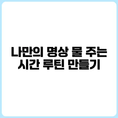 물 주는 시간, 나만의 명상 루틴 만들기