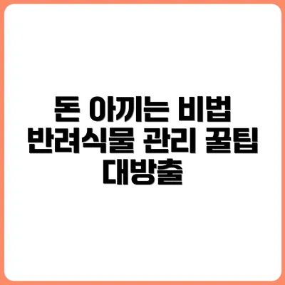 반려식물 키우면서 돈 아끼는 생활 꿀팁