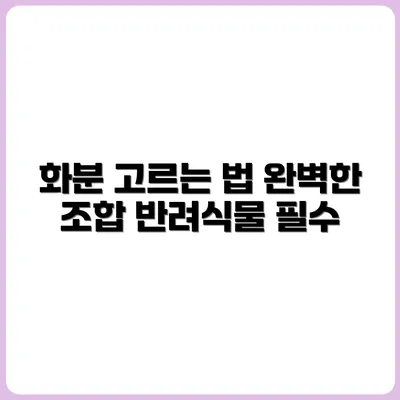 반려식물에 어울리는 화분 고르는 법