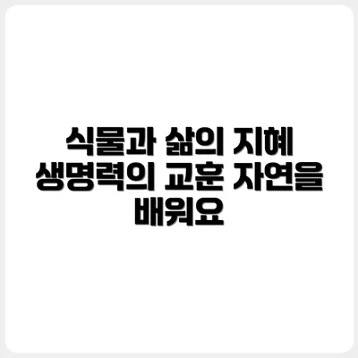 반려식물의 생명력에서 배우는 삶의 자세