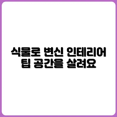 식물 하나로 분위기 달라지는 공간 인테리어 팁