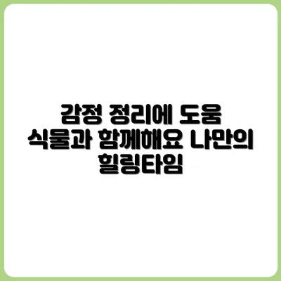 식물 키우며 감정 정리하는 나만의 시간