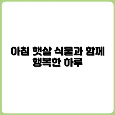 아침 햇살과 반려식물로 시작하는 하루 루틴