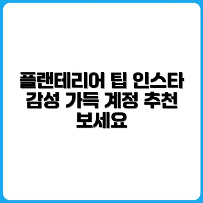 인스타 감성 플랜테리어 계정 팔로우 추천
