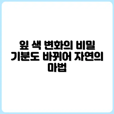 잎 색이 바뀌는 식물, 기분도 달라지는 순간