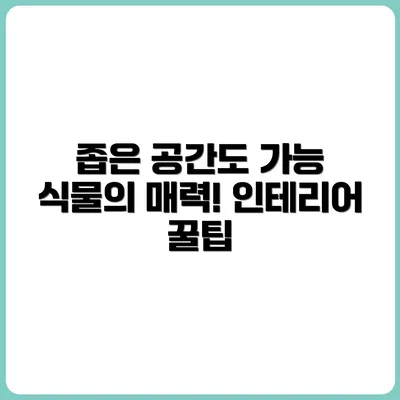 좁은 공간에서도 가능한 식물 인테리어 꿀팁