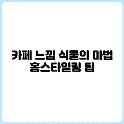 카페 같은 집 만들기: 식물로 연출하는 법