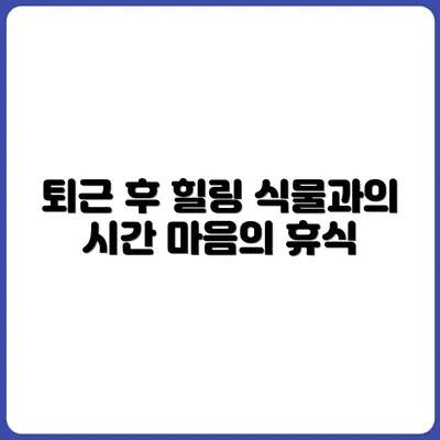 퇴근 후 식물 돌보는 시간이 힐링이 되는 이유
