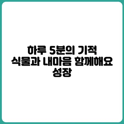 하루 5분, 식물 돌보며 내 마음도 돌보기