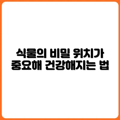 화분 위치 하나로 달라지는 식물의 건강